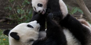 San Diego Zoo